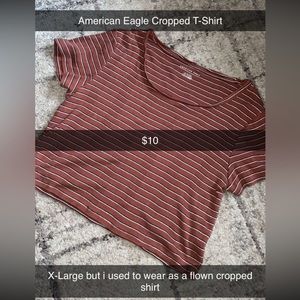 American Eagle Crop Top